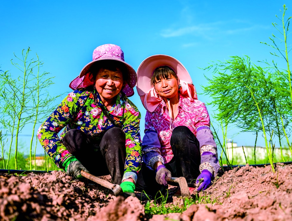 云南省楚雄彝族自治州牟定縣共和鎮(zhèn)新甸村等特色蔬菜種植項(xiàng)目